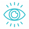 vision-icon-blue